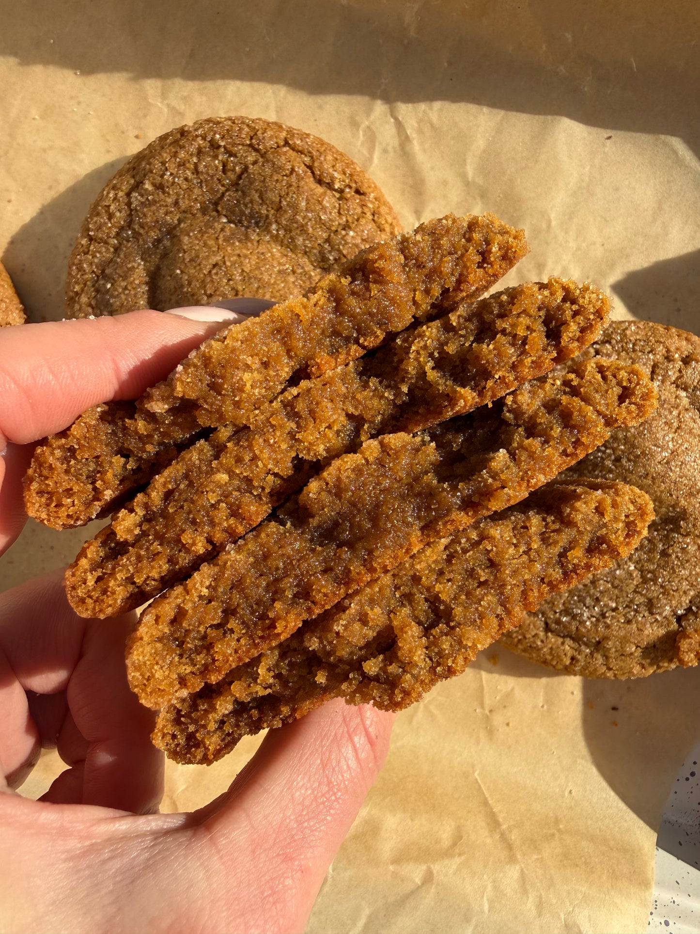 Gingerdoodle