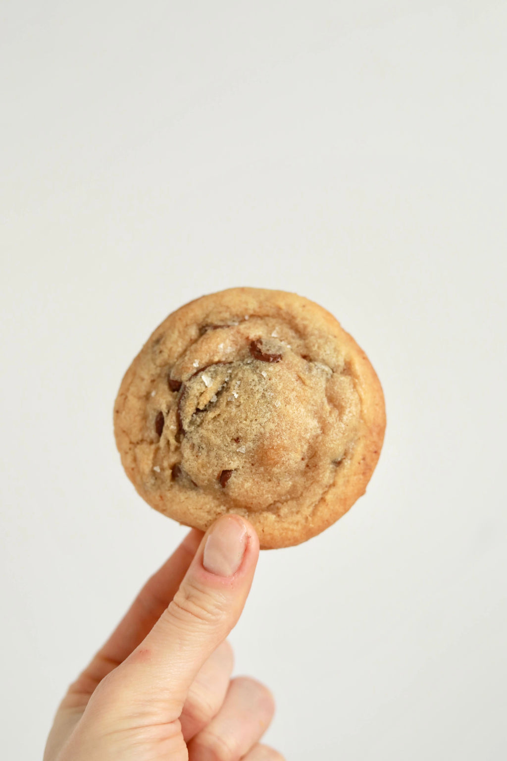 Salted Chocolate Chip