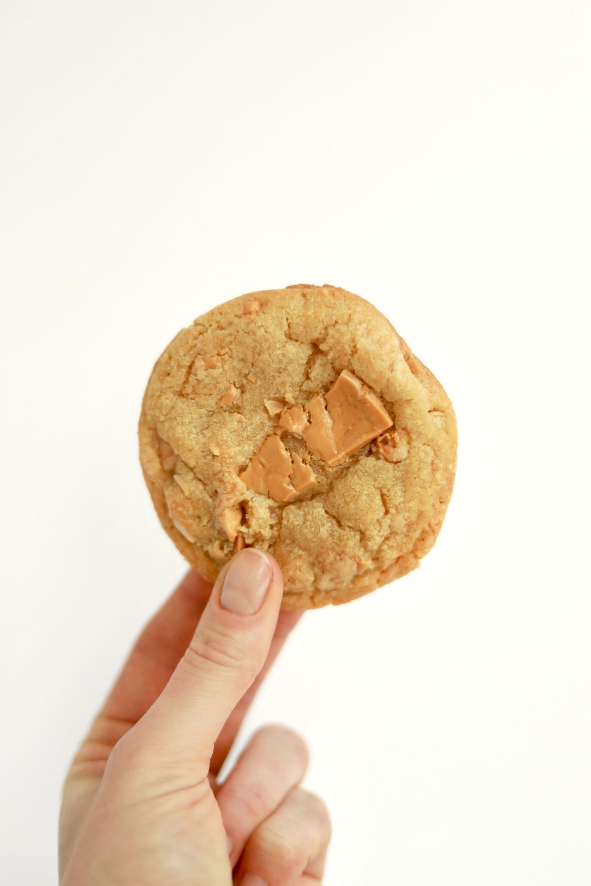 Golden Macadamia