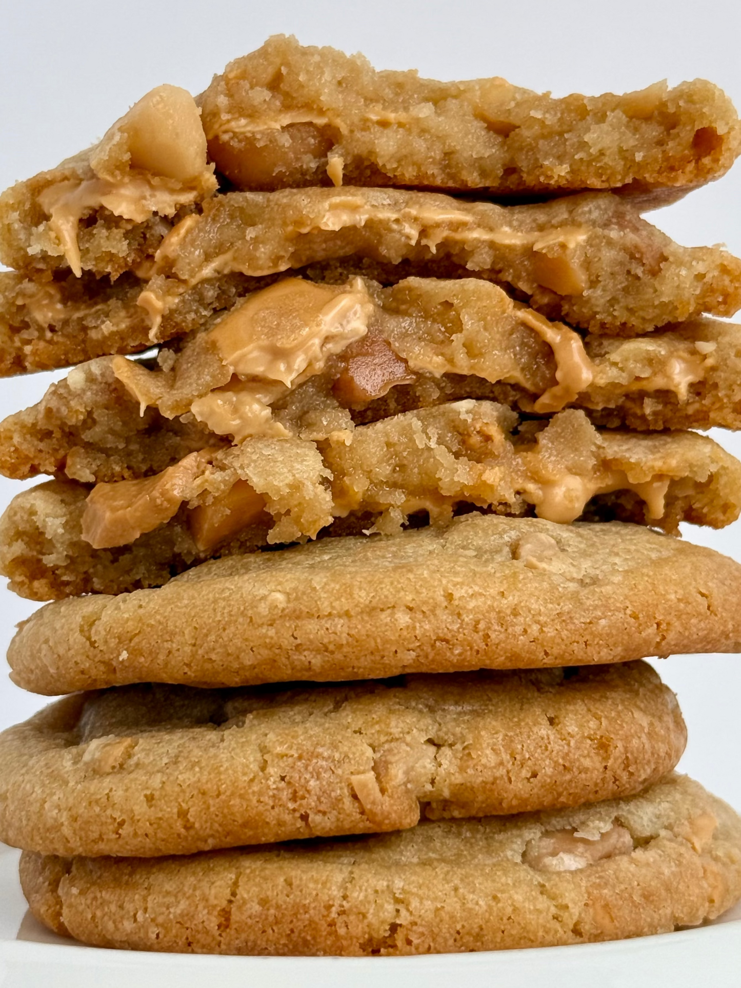 Golden Macadamia